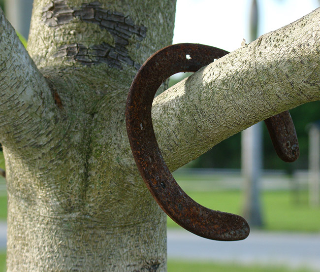 Public Records Requests