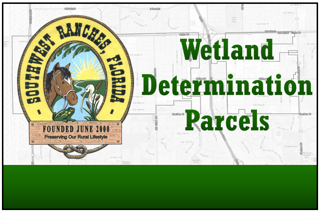 wetland-determination-parcles