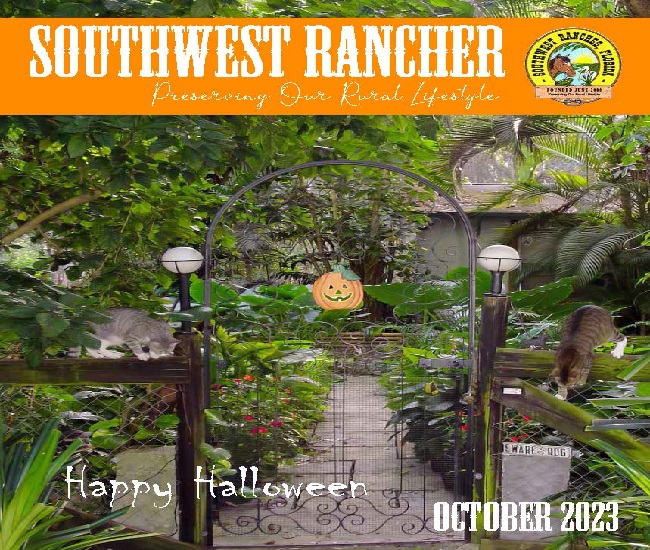 Town Newsletter